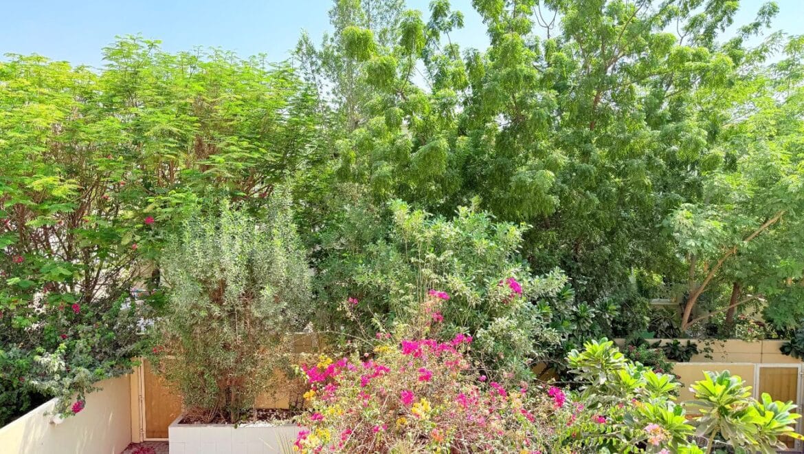 2-bedroom townhouse with study in The Springs 12, Dubai – upgraded and vacant.-Propertyana real estate in dubai and sharjeh